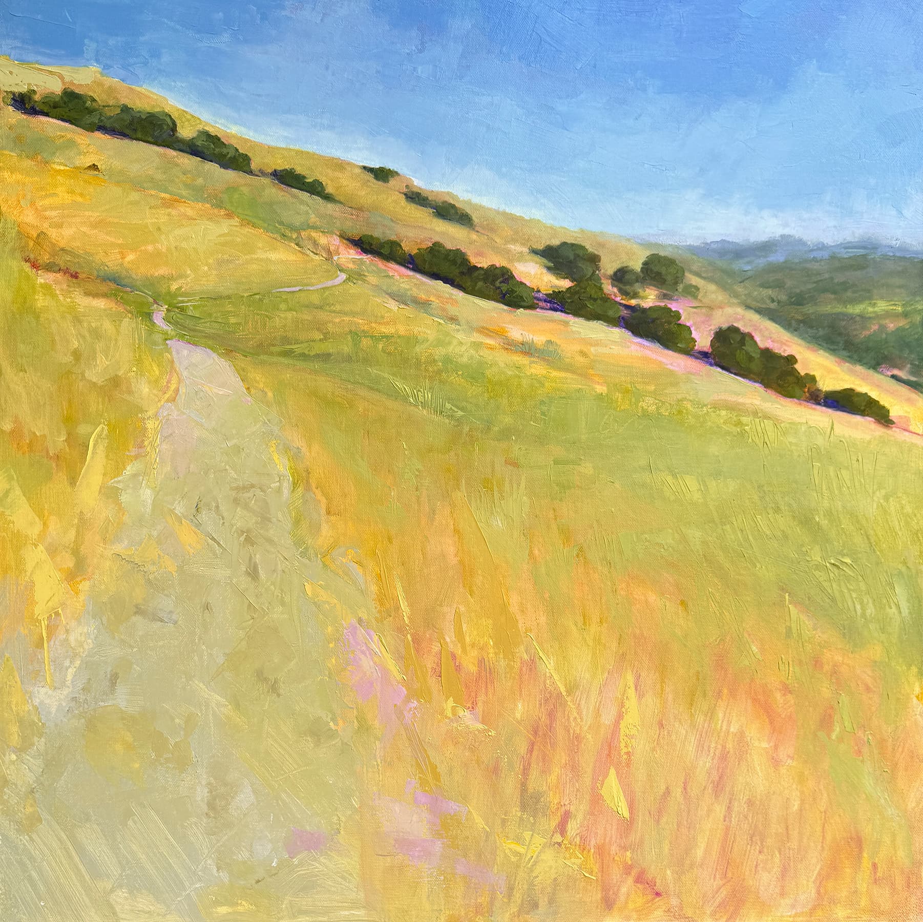 Lucas Valley Hills